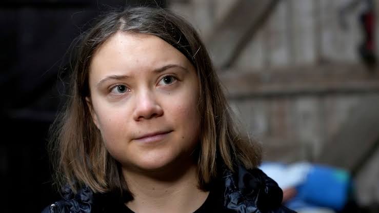 greta thunberg vermögen